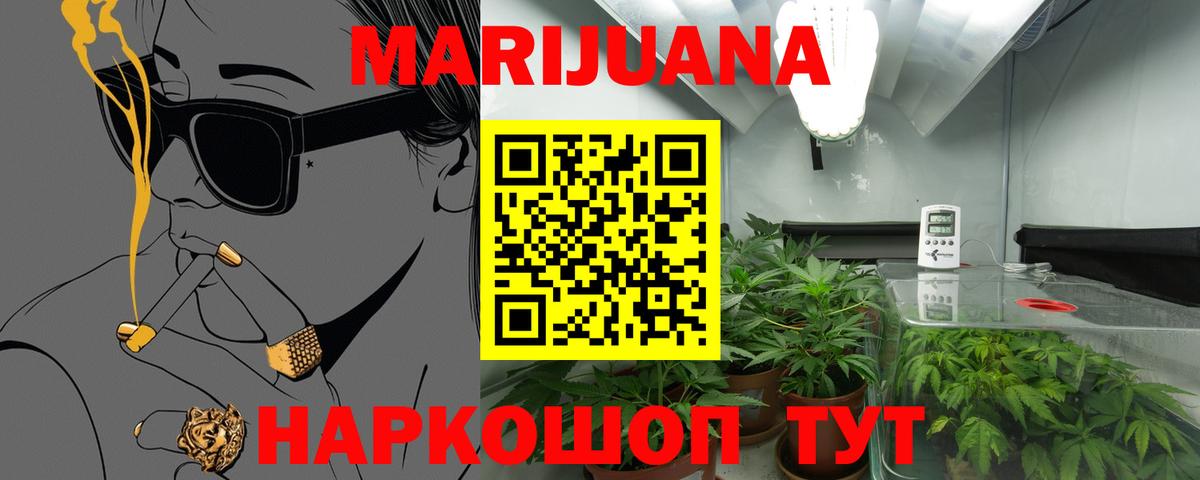 Шишки марихуана тримм  Бошки Шишки Ganja  Новый Уренгой  Марихуана план  Вход с VPN 